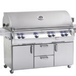 Fire Magic Echelon E1060s-Single Side Burner-Analog Thermometer